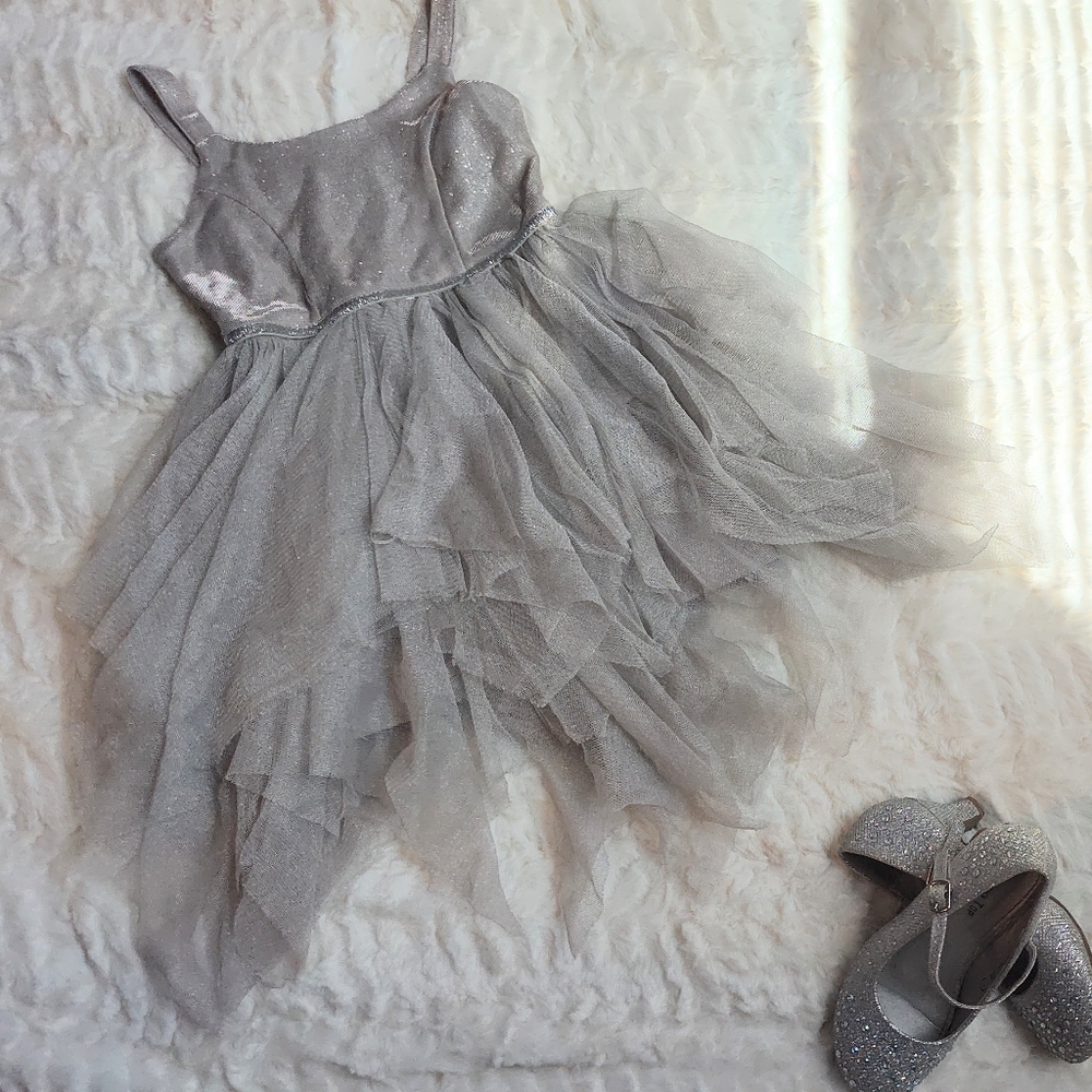 Cat & Jack Silver Tulle Dress